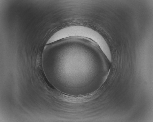 X0000082960035200702152317