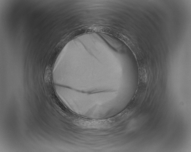 X0000082960036200702152317