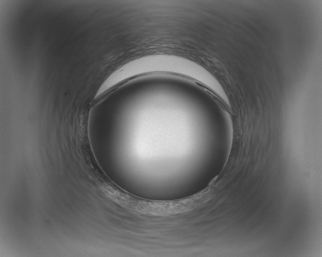 X0000082960037200702152317