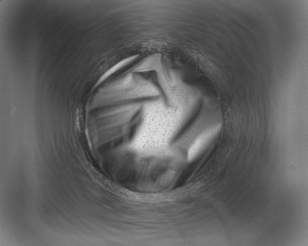 X0000082960038200702152317