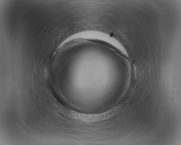 X0000082960039200702152317