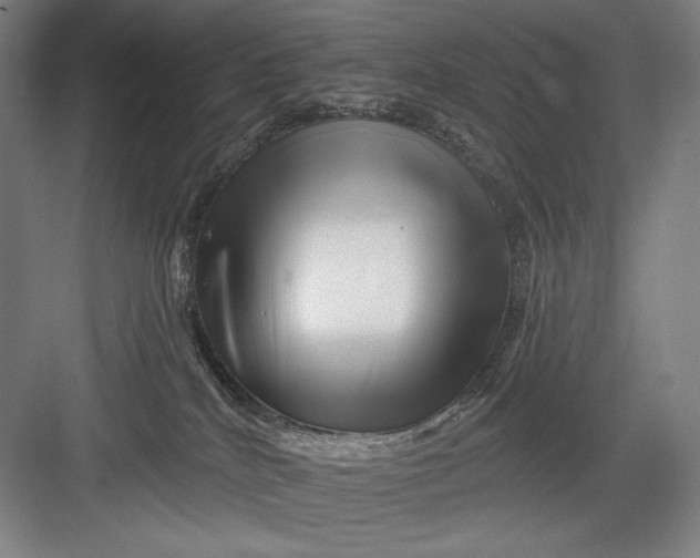 X0000082960040200702152317