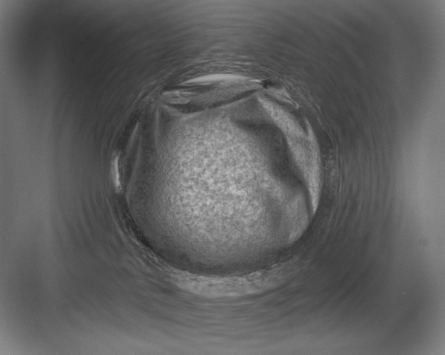 X0000082960042200702152317