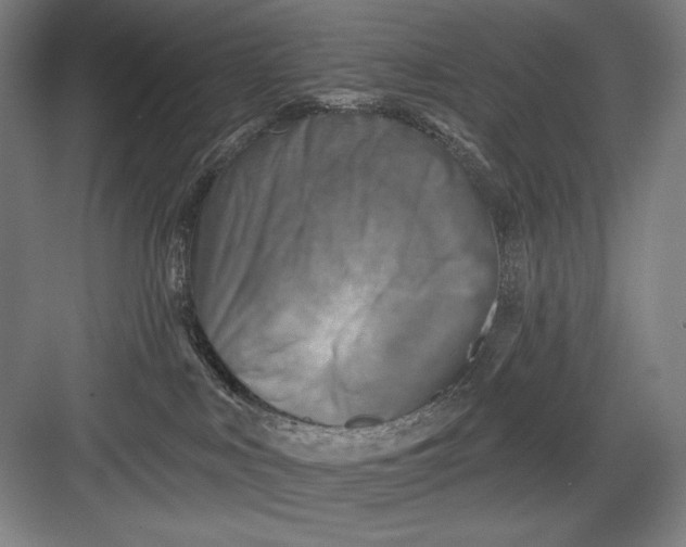 X0000082960043200702152317