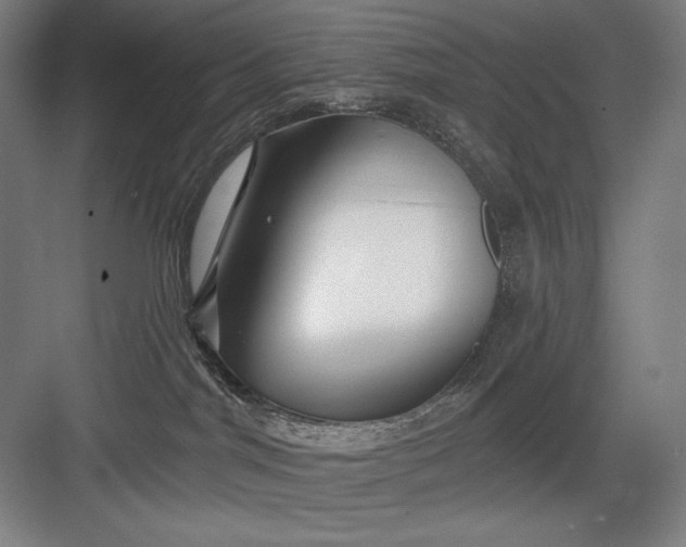 X0000082960044200702152317