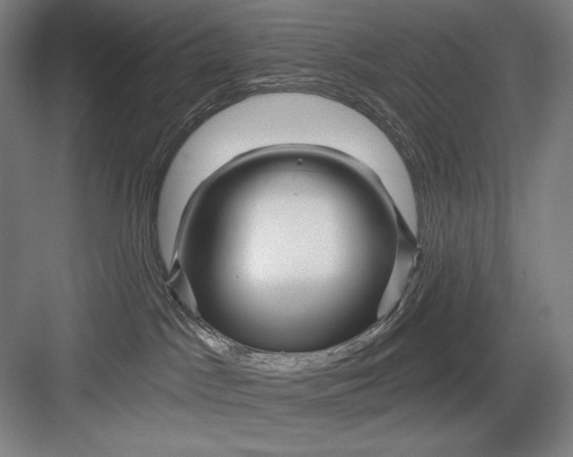 X0000082960045200702152317