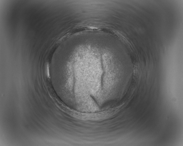 X0000082960046200702152317