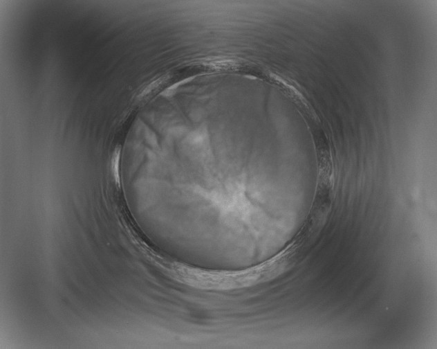 X0000082960047200702152317