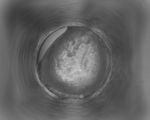 X0000082960049200702152316