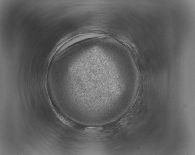 X0000082960051200702152316