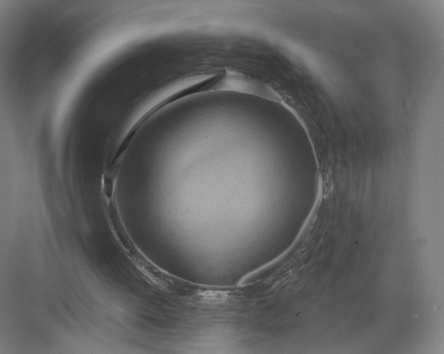 X0000082960052200702152316