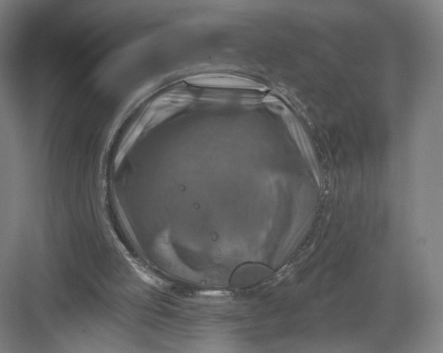 X0000082960053200702152316