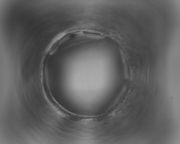 X0000082960054200702152316