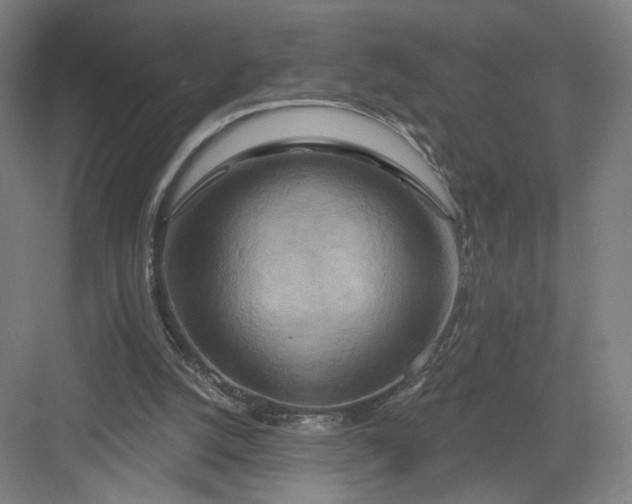 X0000082960056200702152316