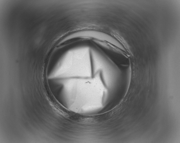 X0000082960058200702152316