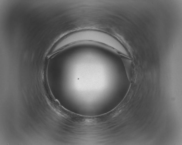 X0000082960060200702152316