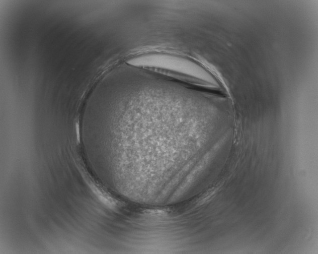 X0000082960061200702152316