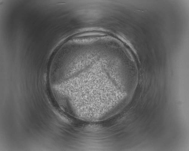 X0000082960063200702152316