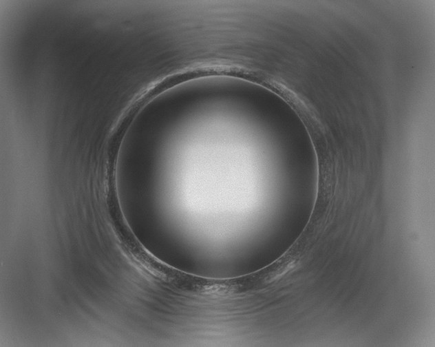 X0000082960064200702152316