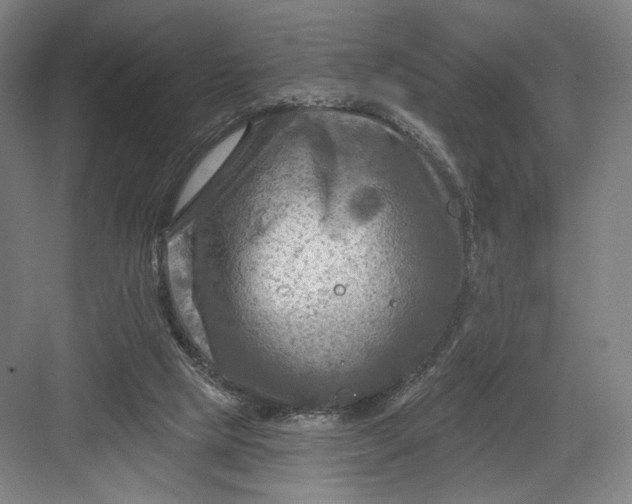 X0000082960065200702152316