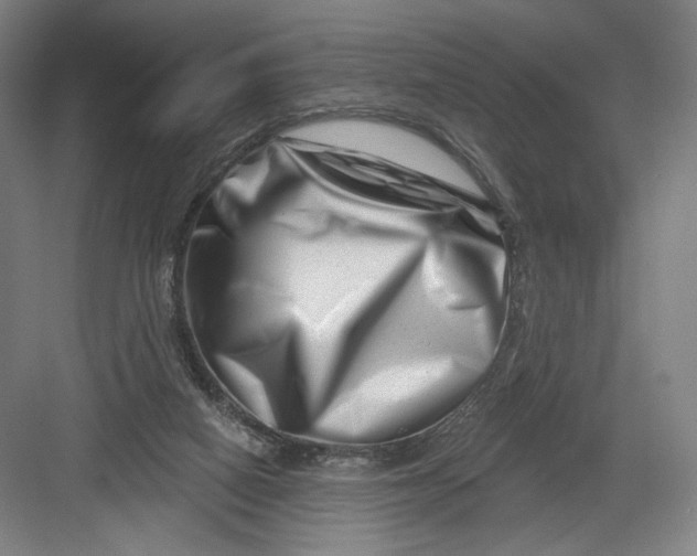 X0000082960066200702152317