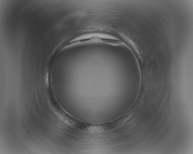 X0000082960067200702152317