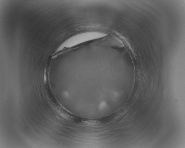 X0000082960069200702152317