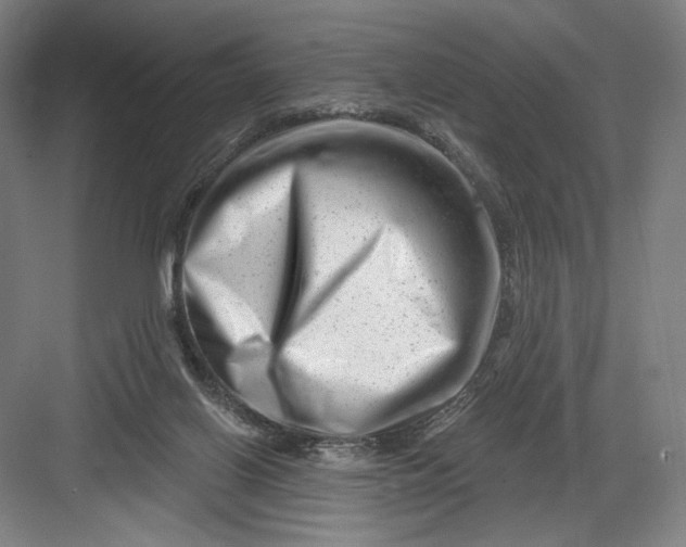 X0000082960070200702152317