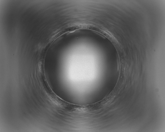 X0000082960071200702152317