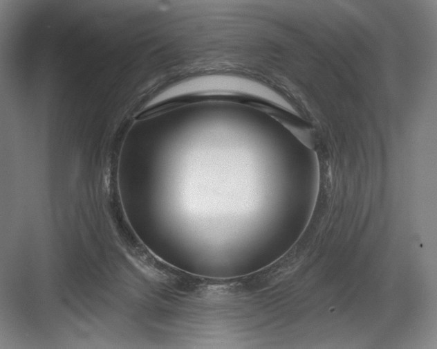 X0000082960072200702152317