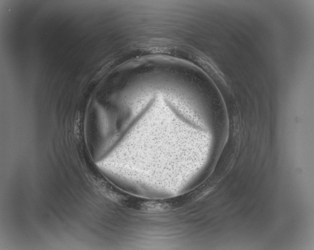 X0000082960073200702152317