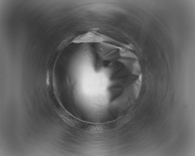 X0000082960075200702152317