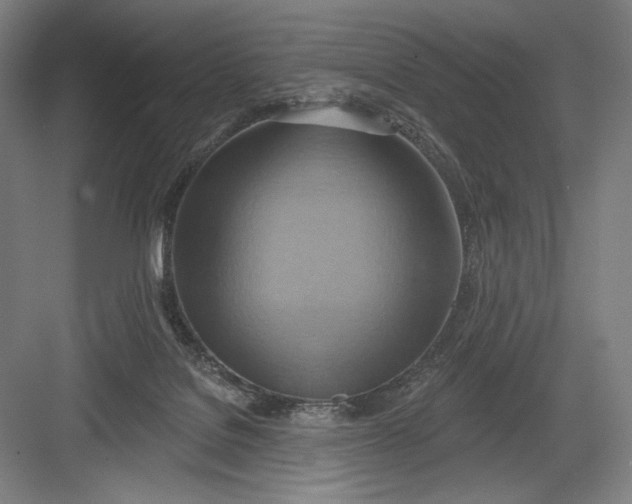 X0000082960076200702152317