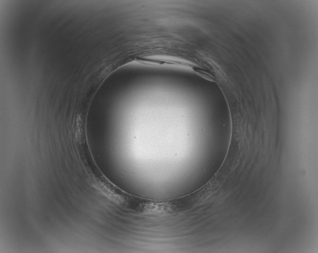 X0000082960077200702152317