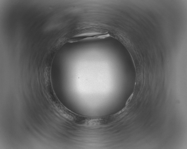 X0000082960078200702152317