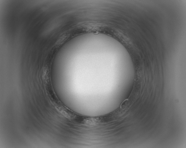 X0000082960079200702152317