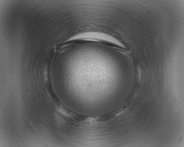 X0000082960080200702152317