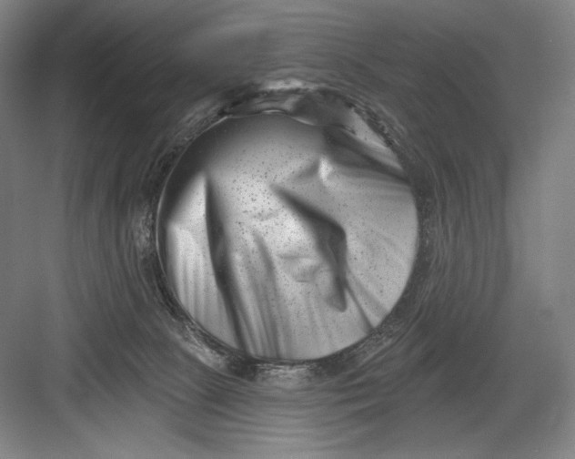 X0000082960081200702152317