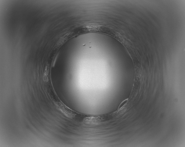 X0000082960082200702152317