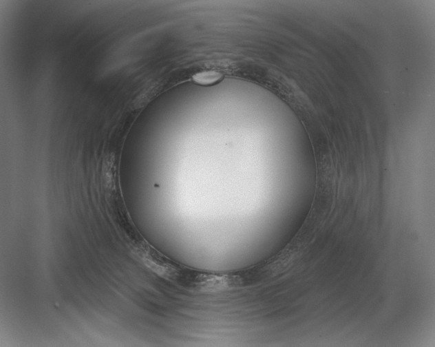 X0000082960083200702152317