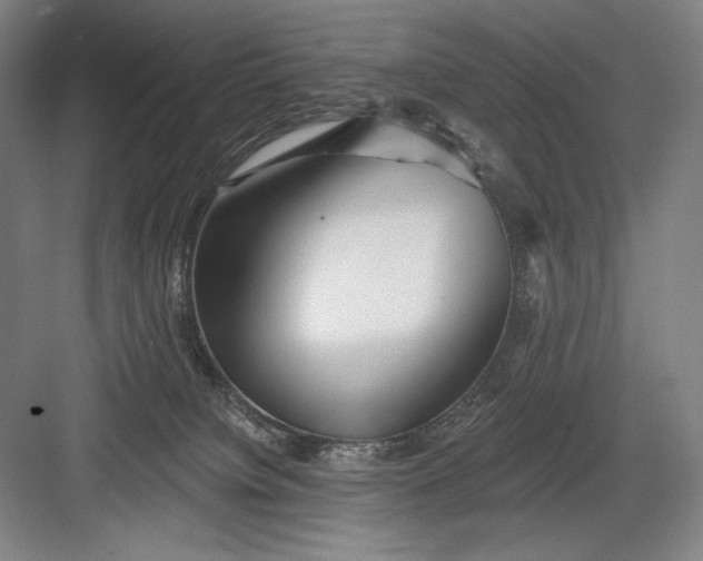 X0000082960084200702152317