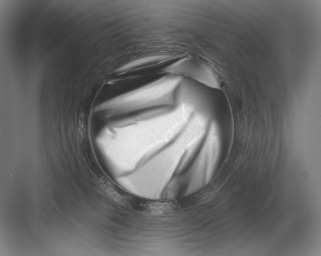 X0000082960085200702152317