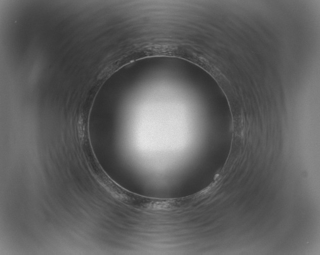 X0000082960086200702152317