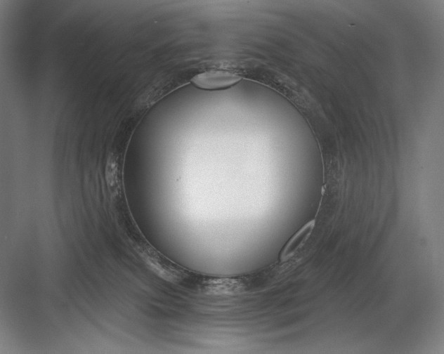 X0000082960087200702152317