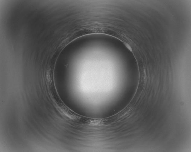 X0000082960088200702152317