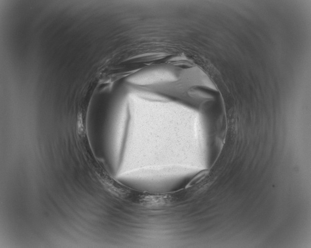 X0000082960089200702152317