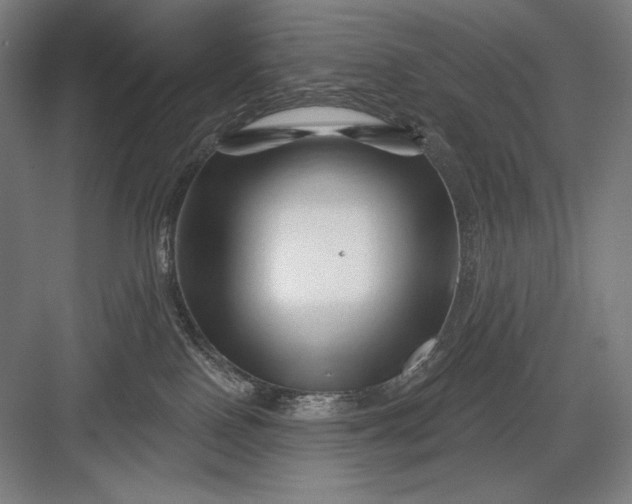 X0000082960090200702152317