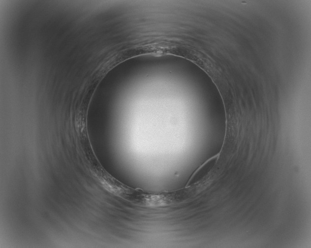 X0000082960091200702152317