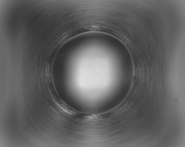 X0000082960092200702152317