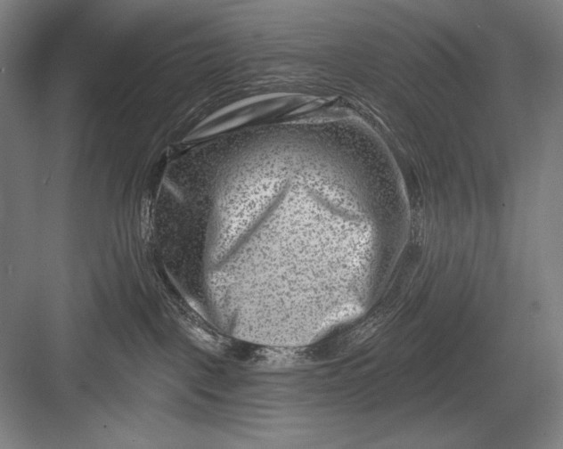 X0000082960093200702152317